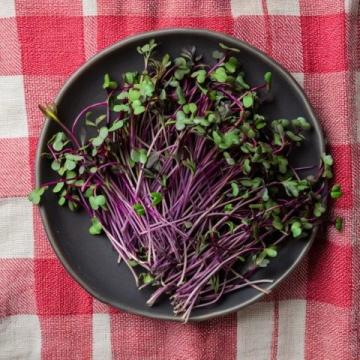 春天的味道与营养:四种适合孩子的春芽美食