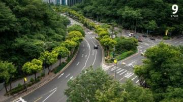 上海杨浦大学路:高校云集的学问之地