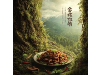 小庙龙湖地块案名揭晓，美食城小区地块信息公示