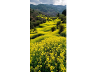 求分享！你有没有拍过袁家村的随手风景照？