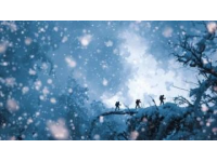 金佛山耍雪攻略：两天一夜玩乐指南来袭！