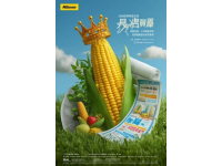 福山三不粘：非遗甜品制作秘籍与传承之道