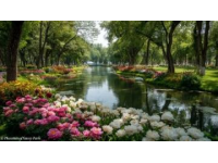 如果说江永县是永州市一颗璀璨的