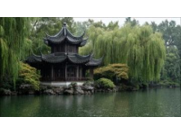 熏仔在杭州你系最迷人噶，你知嘛?