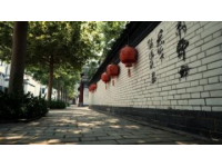 国庆节游苏州平江路：历史与现代交织的韵味之旅
