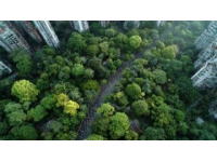 星溪线徒步之旅：探索广州春日竹林的绿意与生机