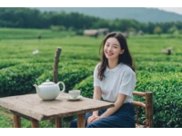 广东早茶，味蕾上绽放的晨之盛宴