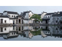 周浦必尝！探寻地道“老八样”饭店与传统美食记忆
