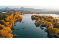 五一自驾游山东东平湖环湖赏美景