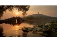 五一假期保定周边游：探索直隶总督署与古莲花池之外的美景