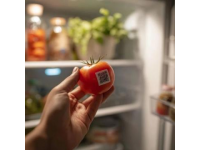 十大食品安全小常识,字数在10到40个字之间。