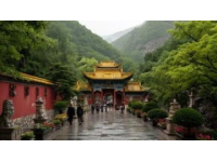 今天去了溧水东庐山观音寺，傅家边赏梅，太值了！关键免票，免票！机智南京旅攻