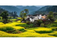 皖南春节之旅，体验非凡韵味年节