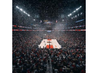 NBA本赛季收入最高的前十名球员