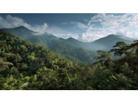 西双版纳热带雨林奇幻之旅：一条充满生机与活力的绿色宝藏