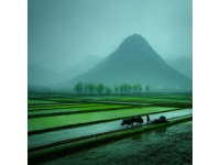 贵州羊肉粉：山河史诗里的味觉记忆
