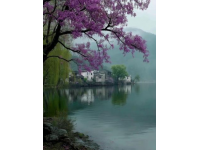 浓浓的茶香、绚烂的秋色、静谧的湖光，开化景区有着一丝仙气。