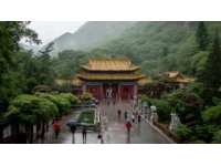 九寨沟一日游：奇幻探险之旅，开启你的山水童话之旅