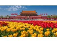 五一青岛周边游：潍坊诸城一日游体验分享