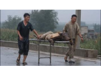 当年民国镇上死了七个百姓，死者面青指蜷，绣花鞋旁遗着半只鞋子，县里派来的巡警被逼退，局长一刀刺穿了案子。