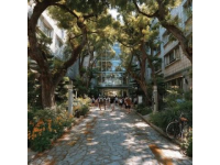 上海杨浦大学路：高校云集的学问之地