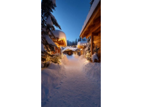 夜幕下的雪野湖：烧烤红酒配烟花的美妙夜晚体验