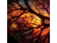 科学应对脂肪肝：揭秘极端素食背后的健康误区与合理膳食策略