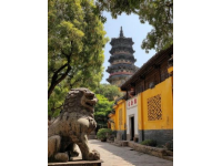 青州古城探秘：大槐树煎包美味之旅