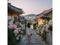 五天假期旅游全攻略：北国春光、都市潮流与文化探索之旅