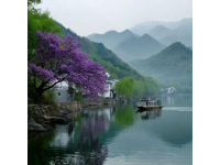 武汉樱花观赏指南简明攻略