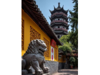忻州古城体验：深度游记分享