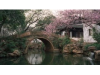成都：一个让人来了就不想离开的魅力都市