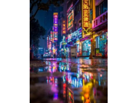 第三日临沂游：夜探新琅琊繁华美景