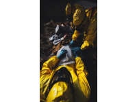 生命警钟：车祸与胎盘剥离后的安全反思与预防之道