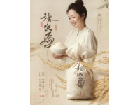 广西风味：探索五种传统与创新的特色汤圆美味