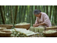 探索宜兴：不容错过的5款地道特色美食及制作方法