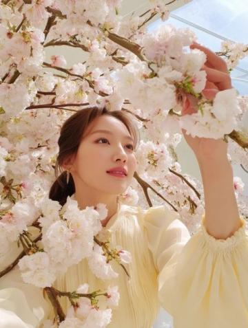 天津清明赏花哪里好?这份海棠花观赏指南请收好!