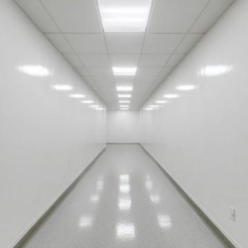 广州人私藏的8家神级老字号!肠粉5元/份,炖汤10元喝到哭!外地人根本找不到