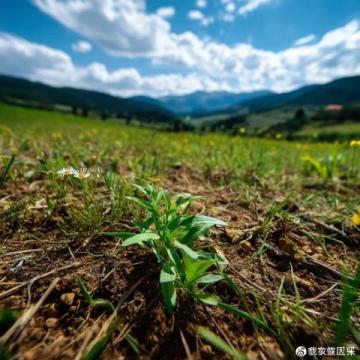 皖西南地区,一直以来都不吃各种虫子,吃野菜也是近几年才传开的