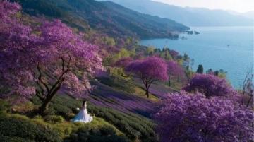 走进春暖花开的闽南美景