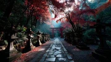 日本京都枫叶之旅第三天(上)