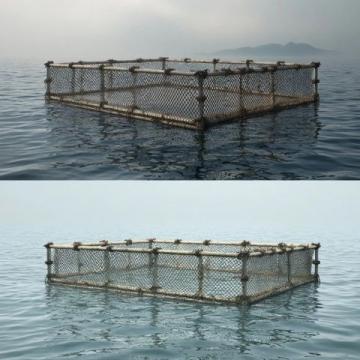 自制发酵饲料:养殖业降本增效的秘籍