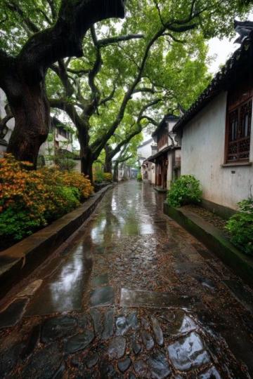 时雨纷纷,清明时节雨纷纷