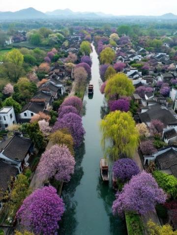 旅游你踩过哪些坑南京的旅游资源颇为丰富,不过在游玩期间可能会碰到一些陷阱
