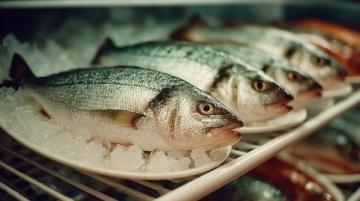老家生活如鱼得水:新鲜美食与自给自足的幸福感
