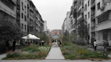 为更好的城市生活习得文明常识