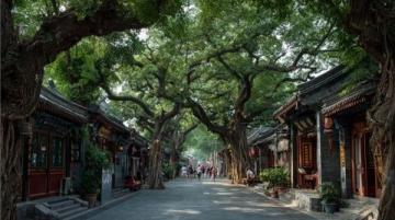 探索宜兴的美丽!