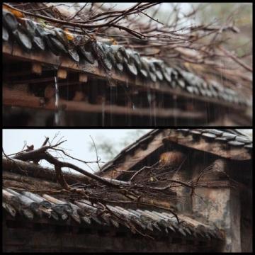 烟雨江南,味蕾飘香