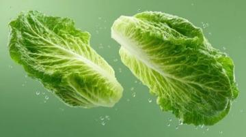 家常美味快手菜:蒜蓉蚝油生菜的做法及健康益处揭秘!