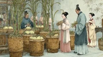 红楼梦中的姑苏风韵：曹雪芹笔下的苏州描绘及特色物产